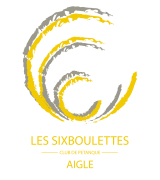 logojaunegrisVALIDE.Transp